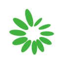 黄色日本视频网站